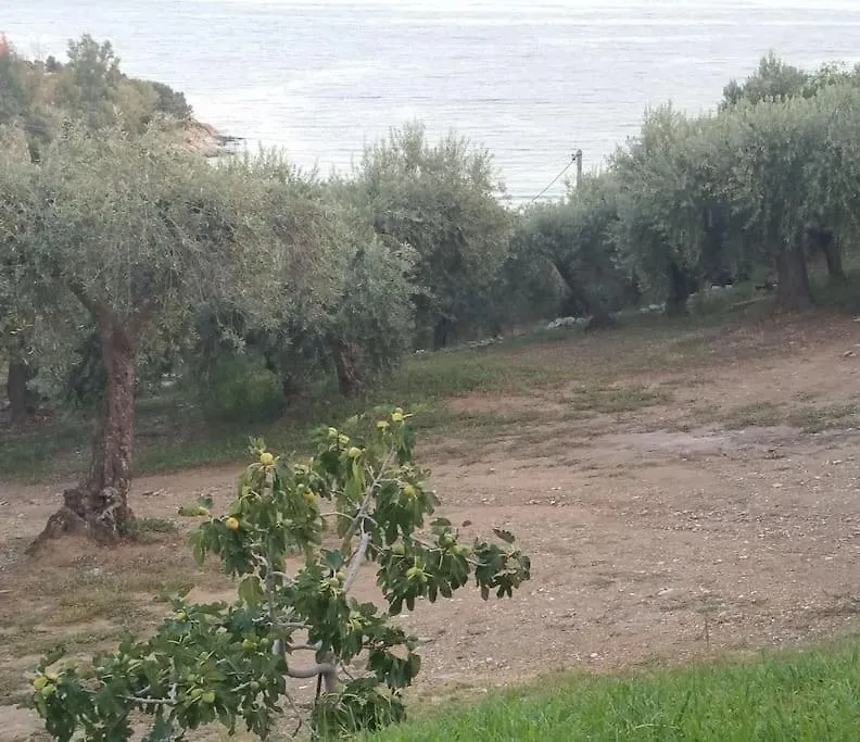 Olive By The Sea Villa Pyrgadikia 0*,